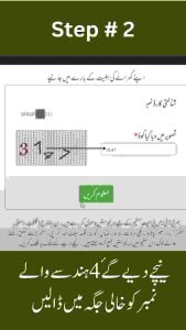 Ehsaas program CNIC check online step 2