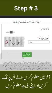 Ehsaas program CNIC check online step 3